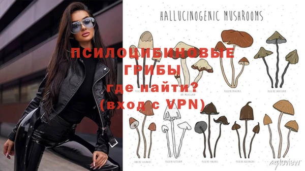 прущая мука Липки