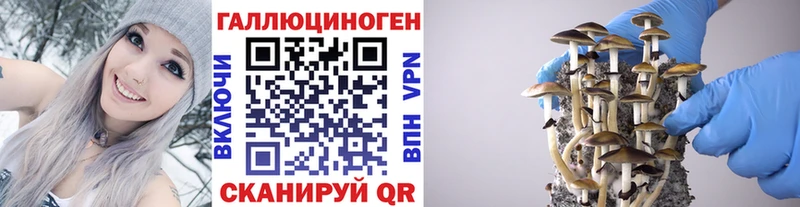 Псилоцибиновые грибы мицелий  сколько стоит  Электроугли 